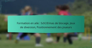 Formation en aile : Schémas de blocage, Jeux de diversion, Positionnement des joueurs